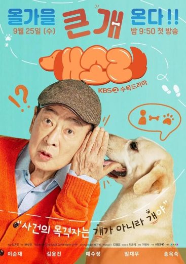 مسلسل الكلب يعرف كل شيء Dog Knows Everything الحلقة 6